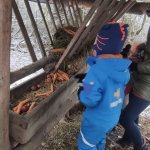 phoca_thumb_m_zajci a zvtka 27 Fotogalerie
